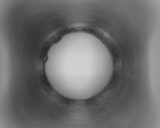 X0000110761062200906291023