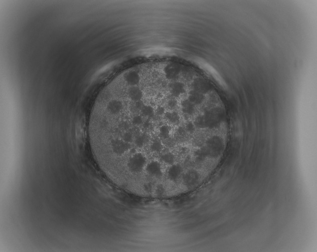 X0000110761063200906291023