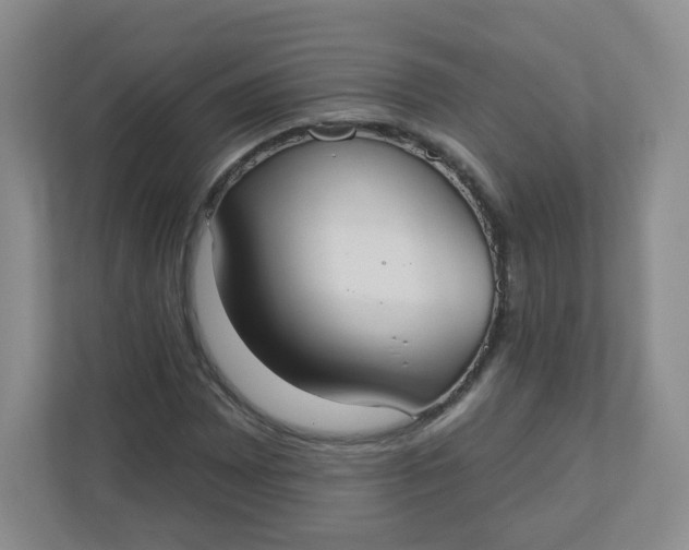X0000110761065200906291023