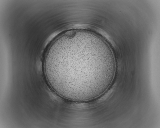X0000110761066200906291023