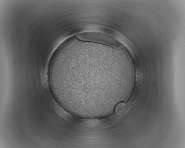 X0000110761068200906291023