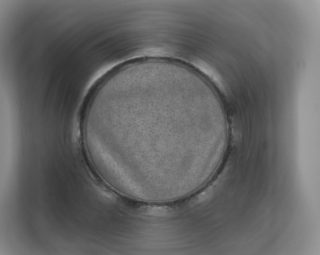 X0000110761070200906291023
