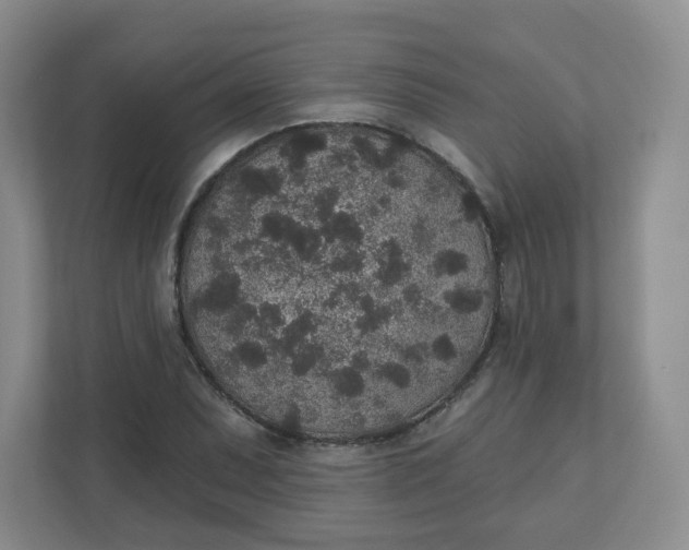 X0000110761071200906291023