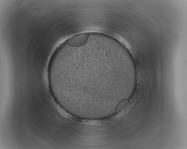 X0000110761072200906291023