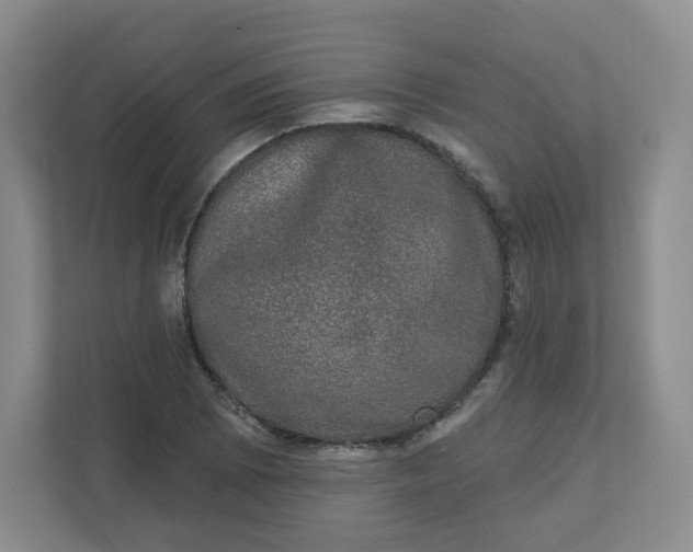 X0000110761073200906291023