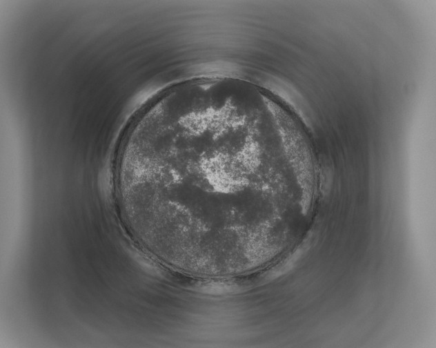 X0000110761074200906291023