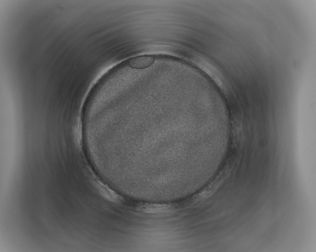 X0000110761076200906291023