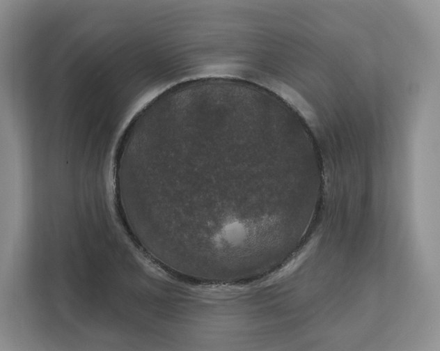 X0000110761077200906291023