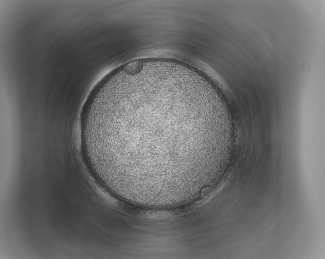 X0000110761079200906291023