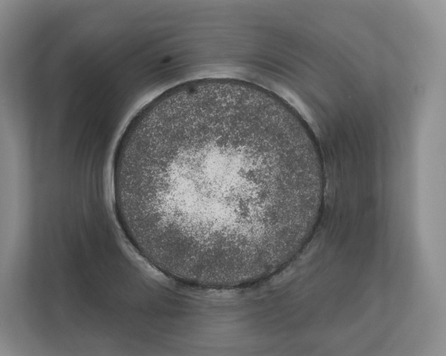 X0000110761080200906291023