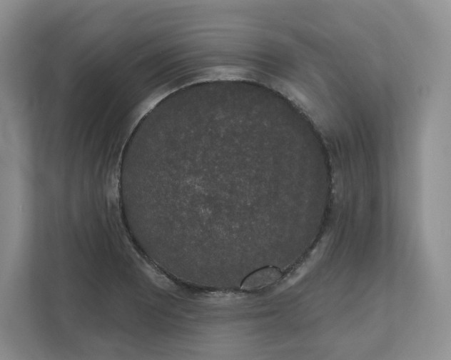 X0000110761081200906291023