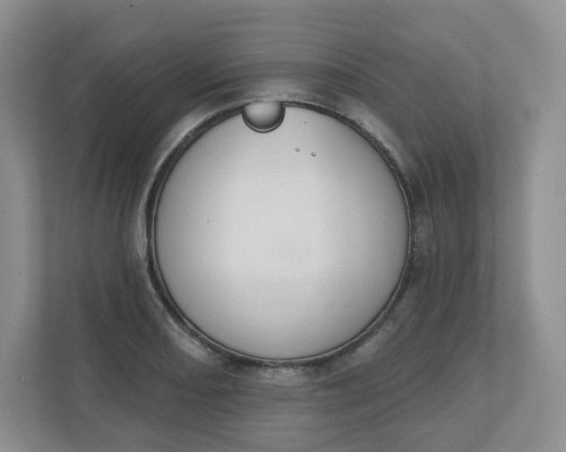 X0000110761082200906291023