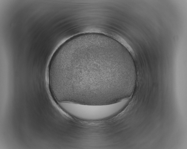 X0000110761084200906291023