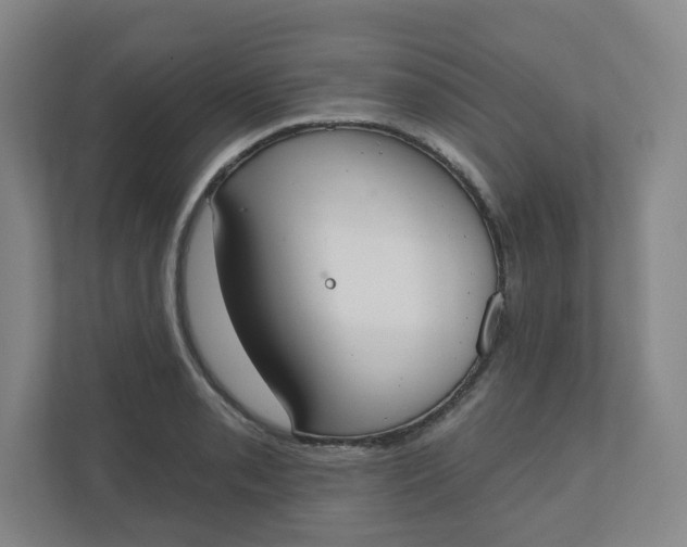 X0000110761085200906291023