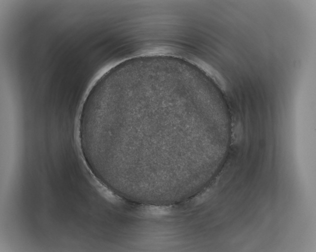 X0000110761086200906291023