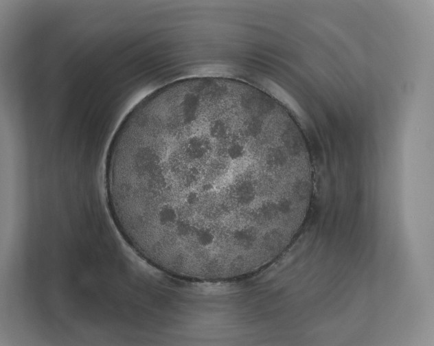 X0000110761087200906291023