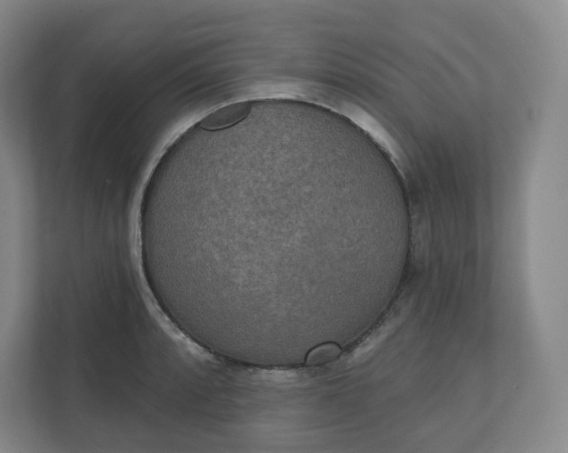 X0000110761088200906291023