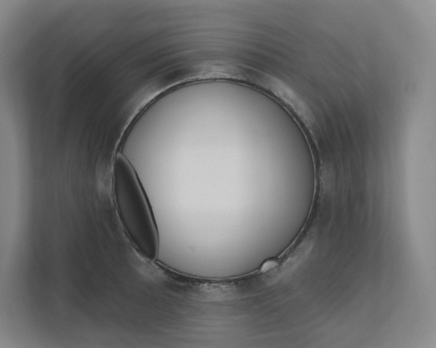 X0000110761089200906291023