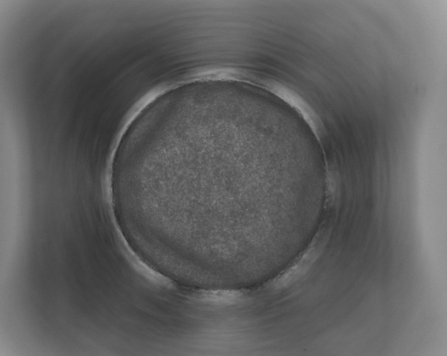 X0000110761090200906291023