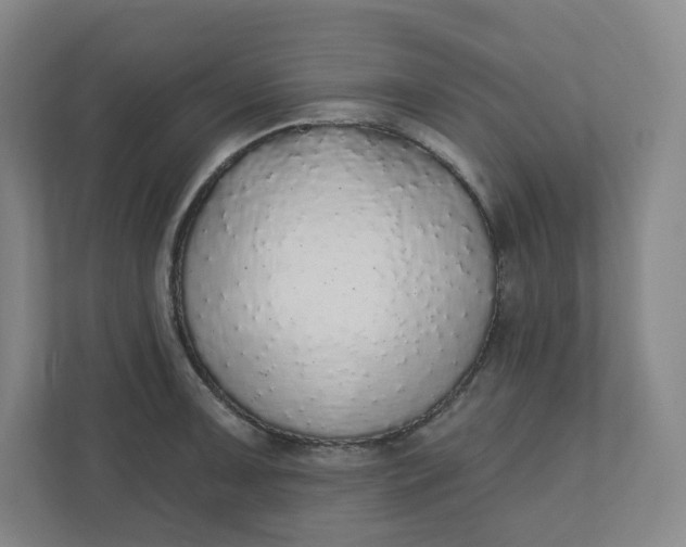 X0000110761091200906291023