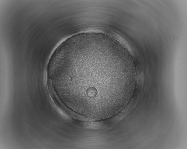 X0000110761092200906291023