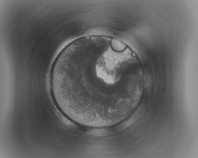 X0000110761094200906291023