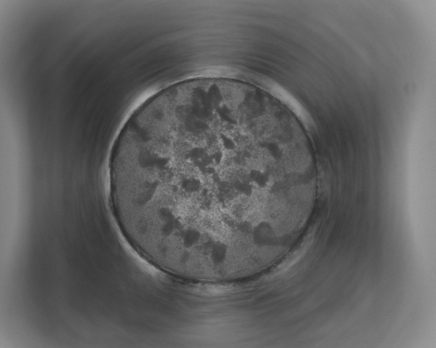 X0000110761095200906291023