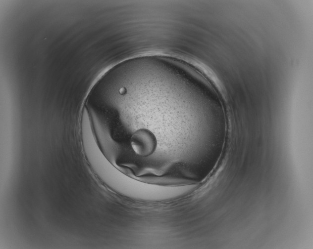 X0000110761097200906291023