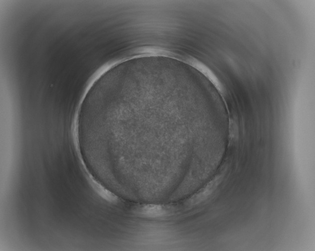 X0000110761098200906291023