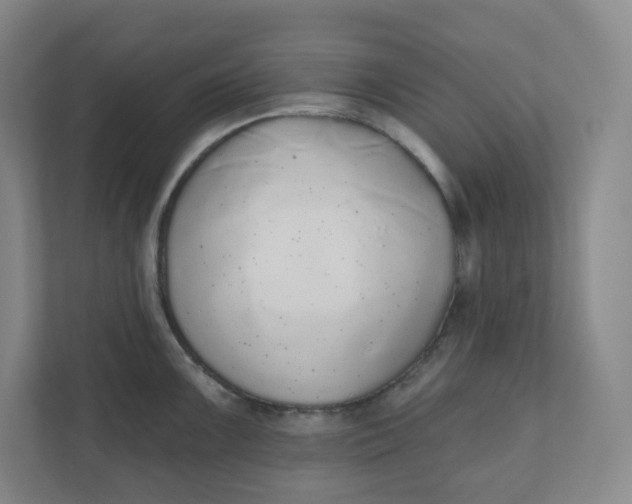 X0000110761099200906291023