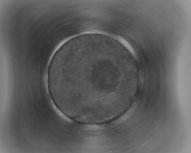 X0000110761100200906291023