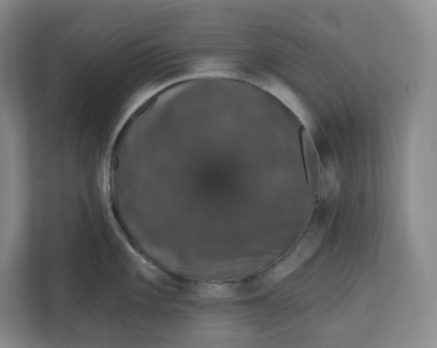 X0000110761101200906291023