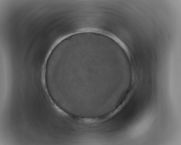 X0000110761102200906291023