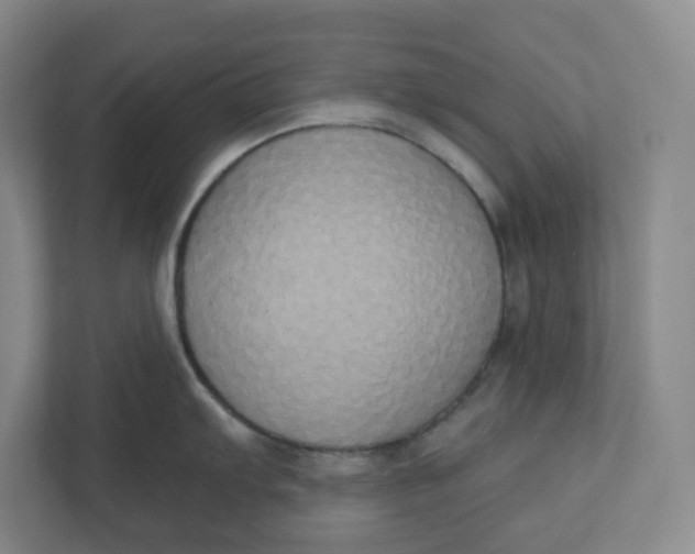 X0000110761103200906291023