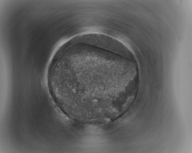 X0000110761104200906291023