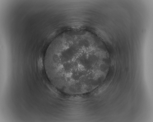 X0000110761106200906291022