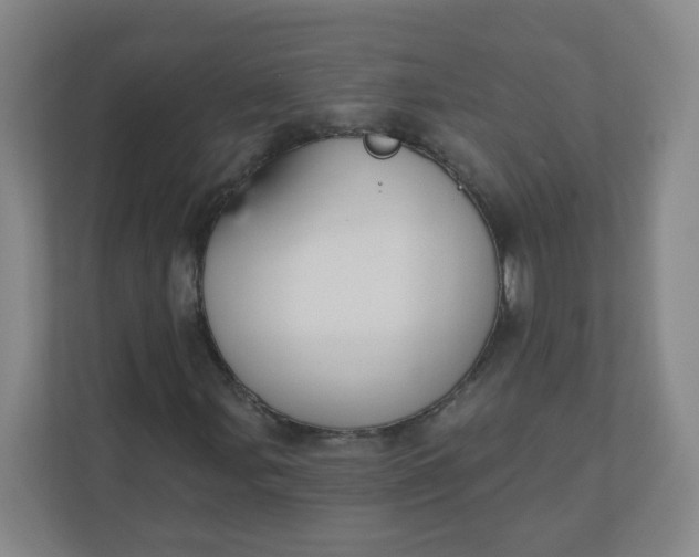 X0000110761107200906291022