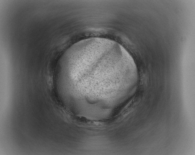 X0000110761109200906291022