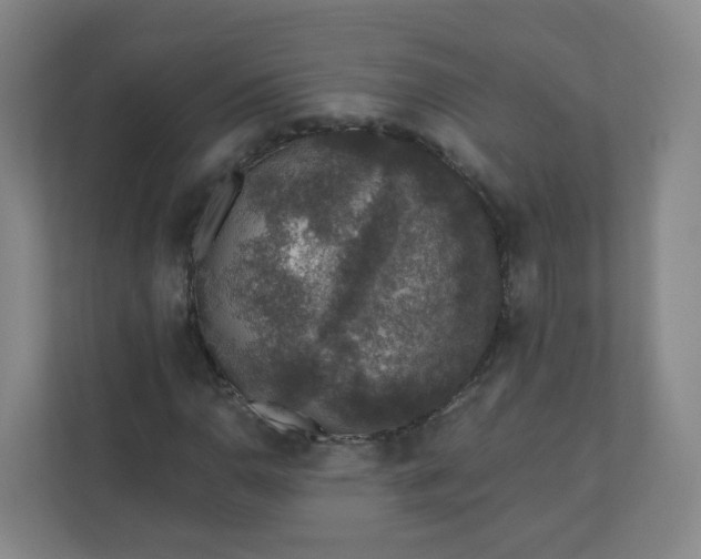 X0000110761110200906291022