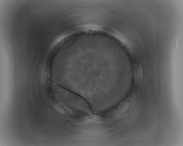 X0000110761112200906291022