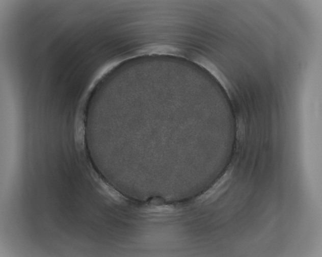 X0000110761115200906291022