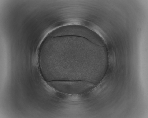 X0000110761116200906291022