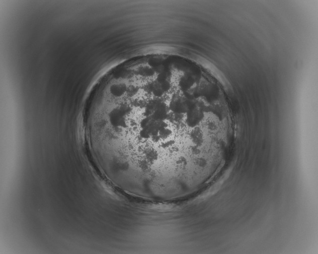 X0000110761117200906291022