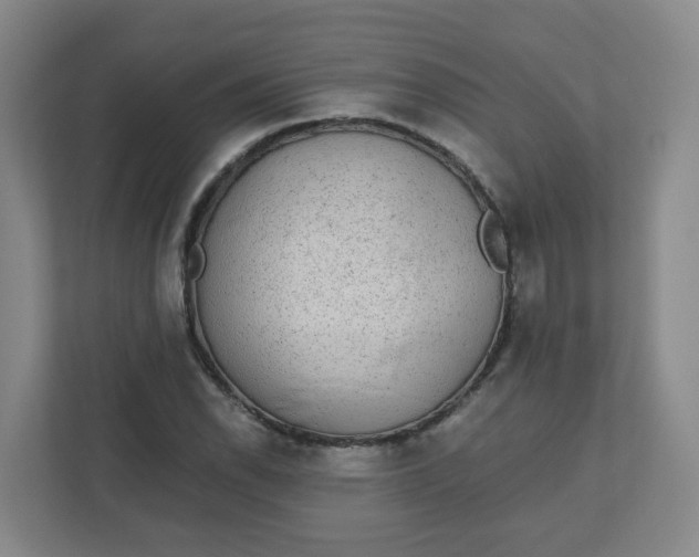 X0000110761118200906291022