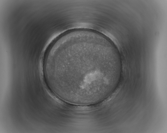 X0000110761120200906291022