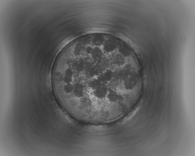 X0000110761121200906291022