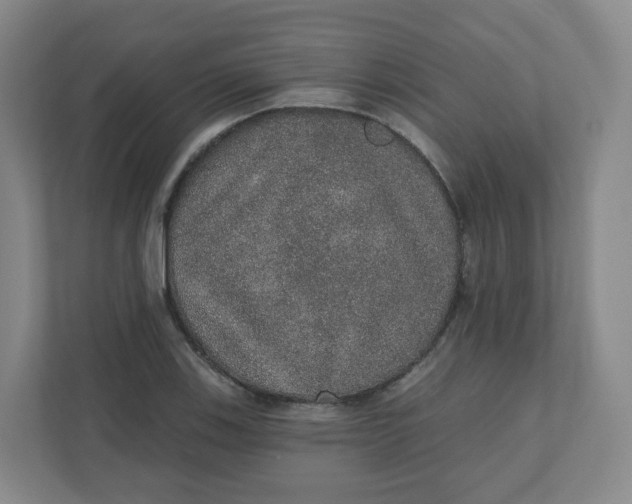 X0000110761123200906291023