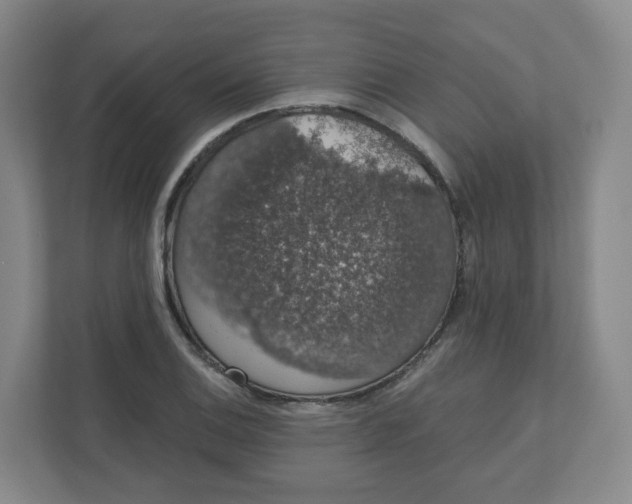 X0000110761124200906291023