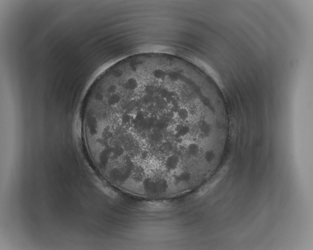 X0000110761125200906291023