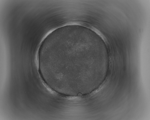 X0000110761127200906291023